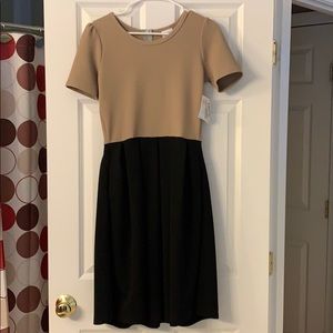 LuLaroe Amelia dress black and brown